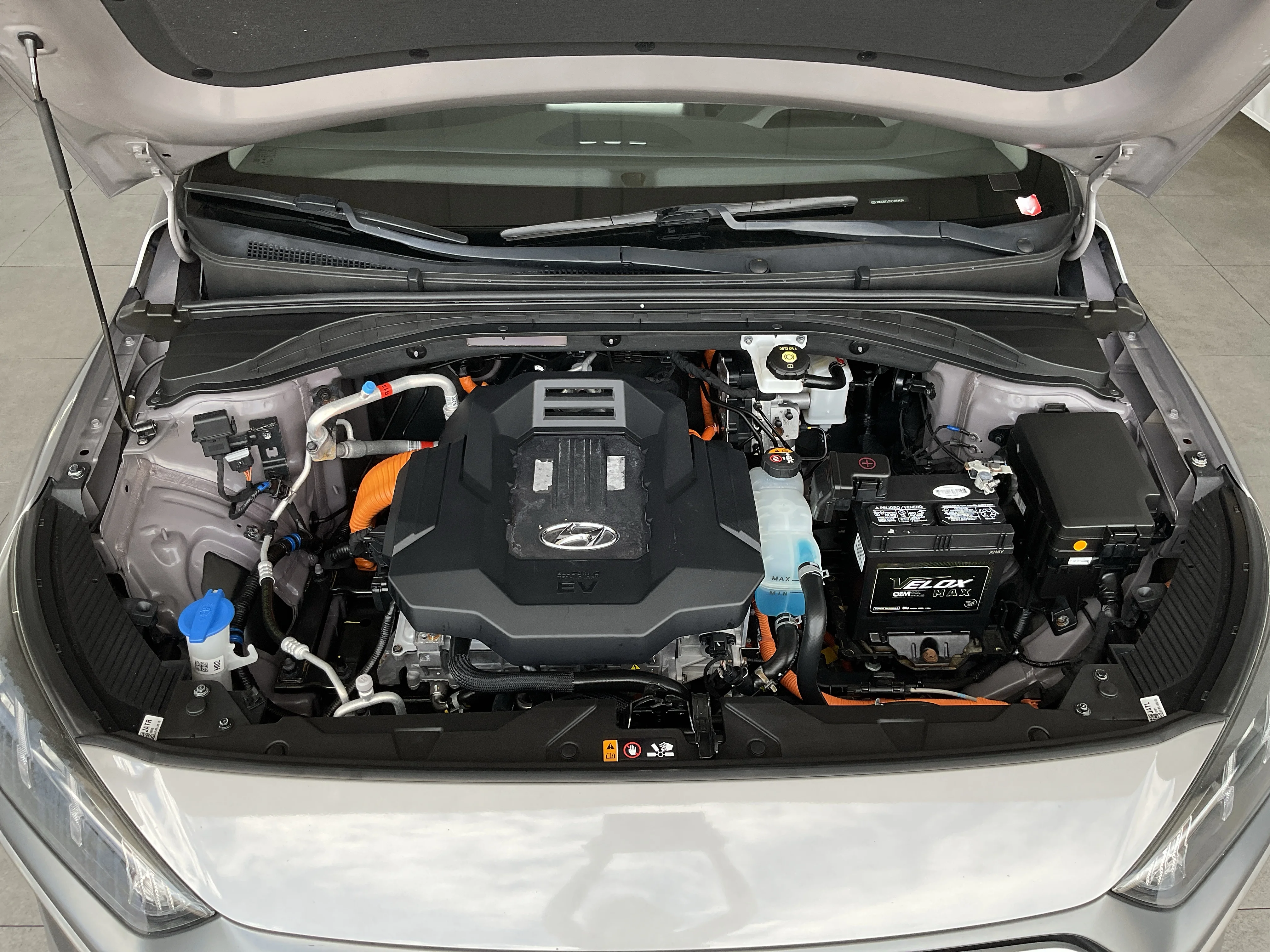 Interior 5