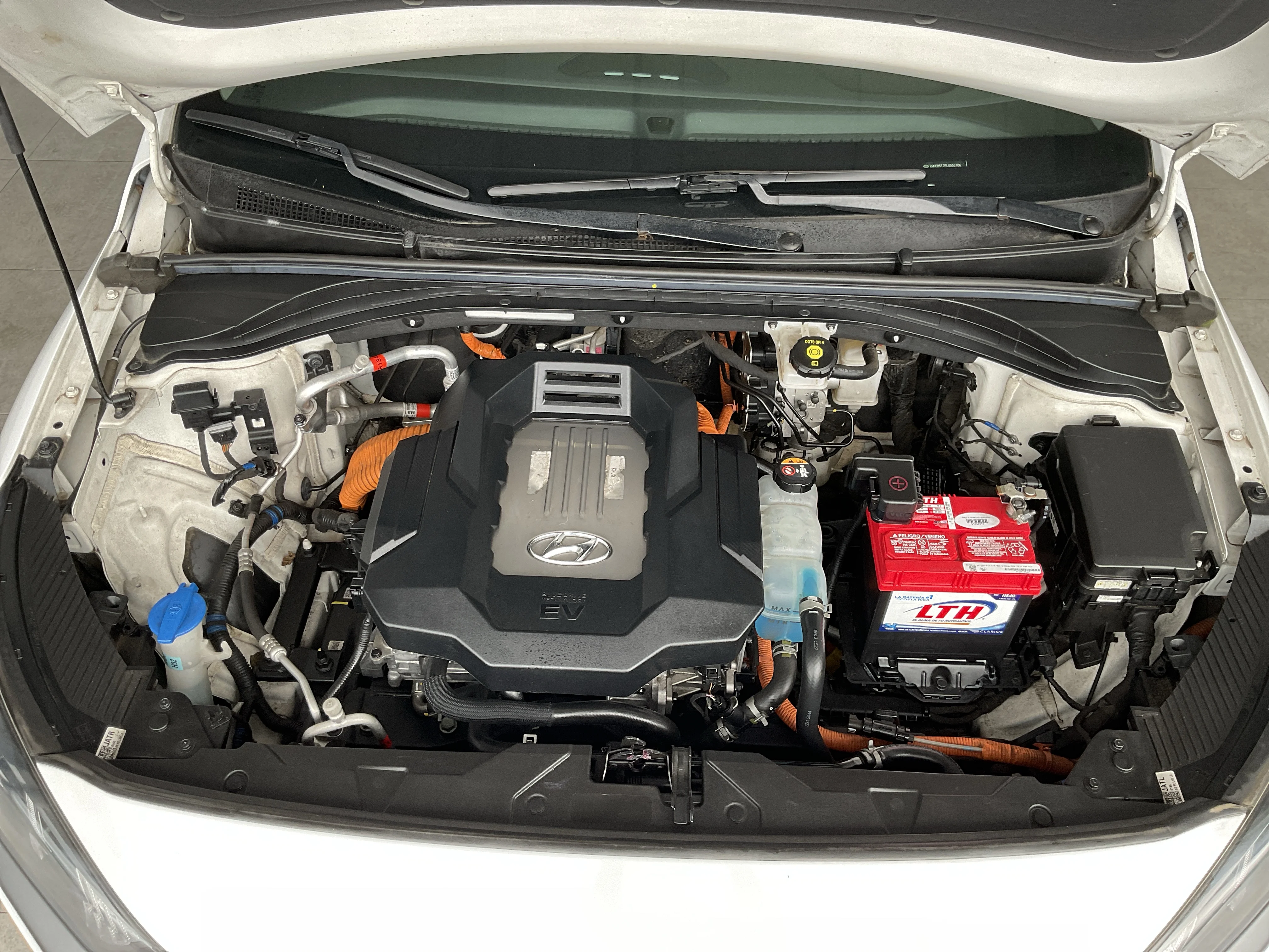Interior 5