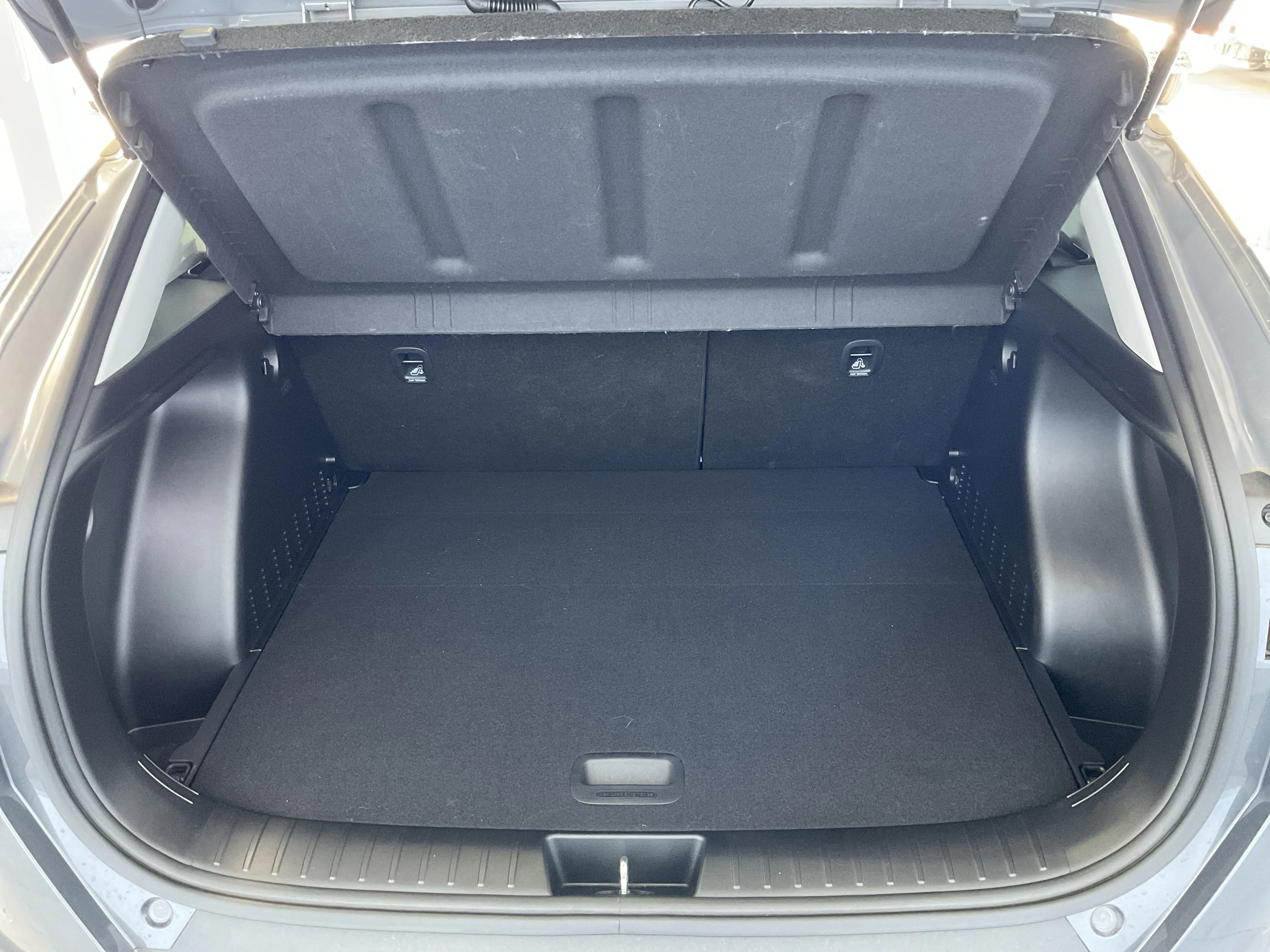 Interior 3
