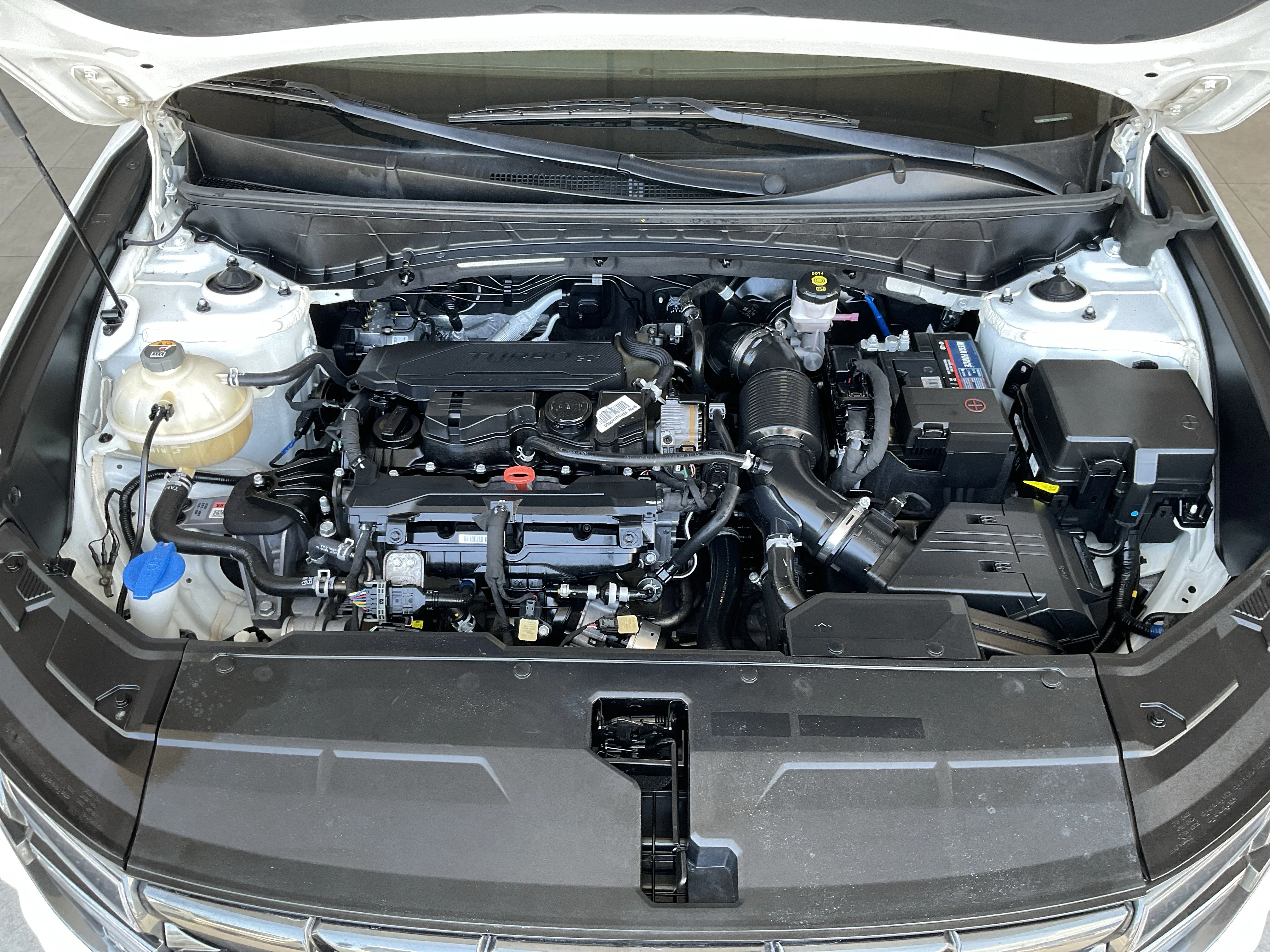 Interior 5