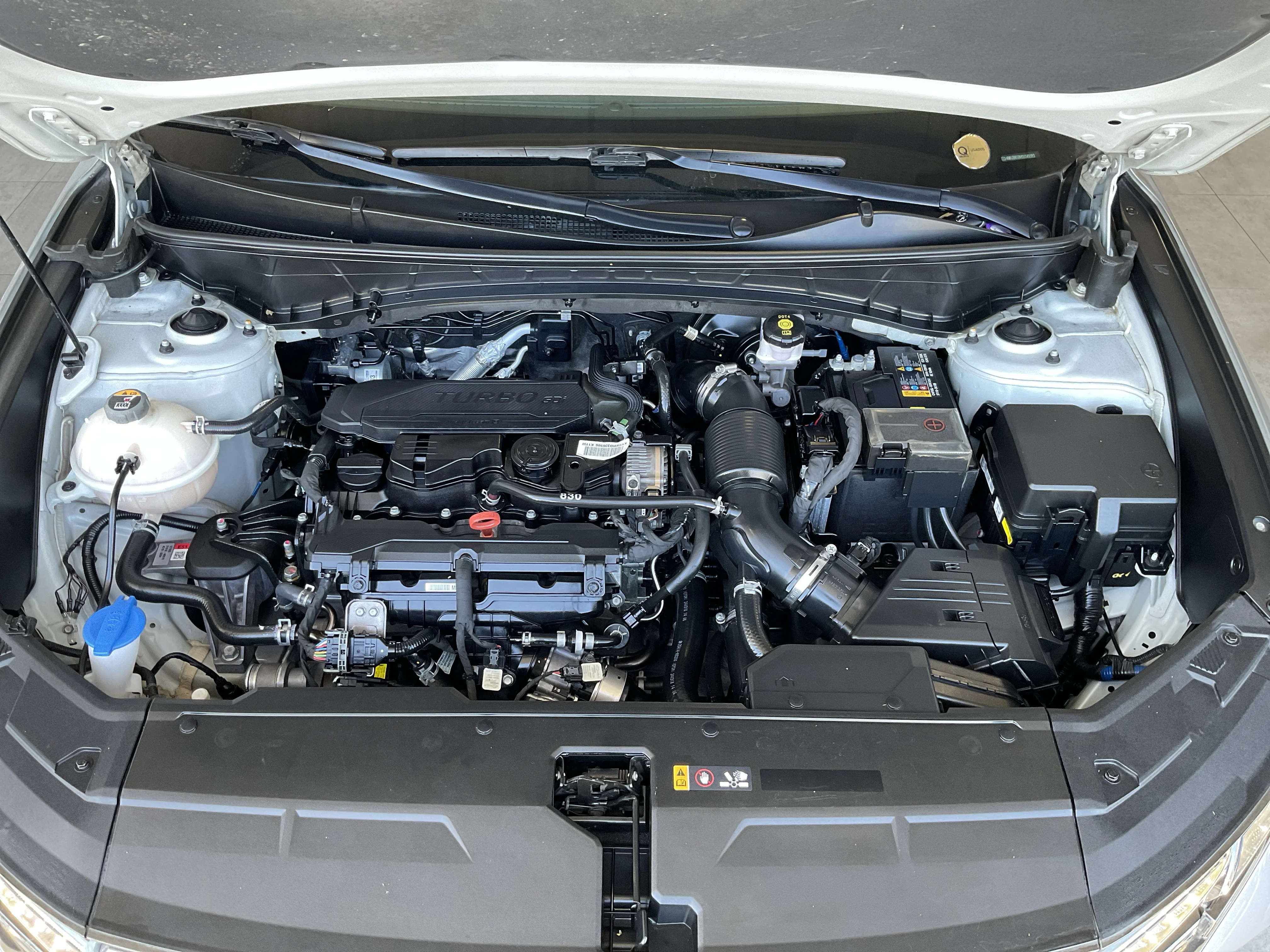Interior 5