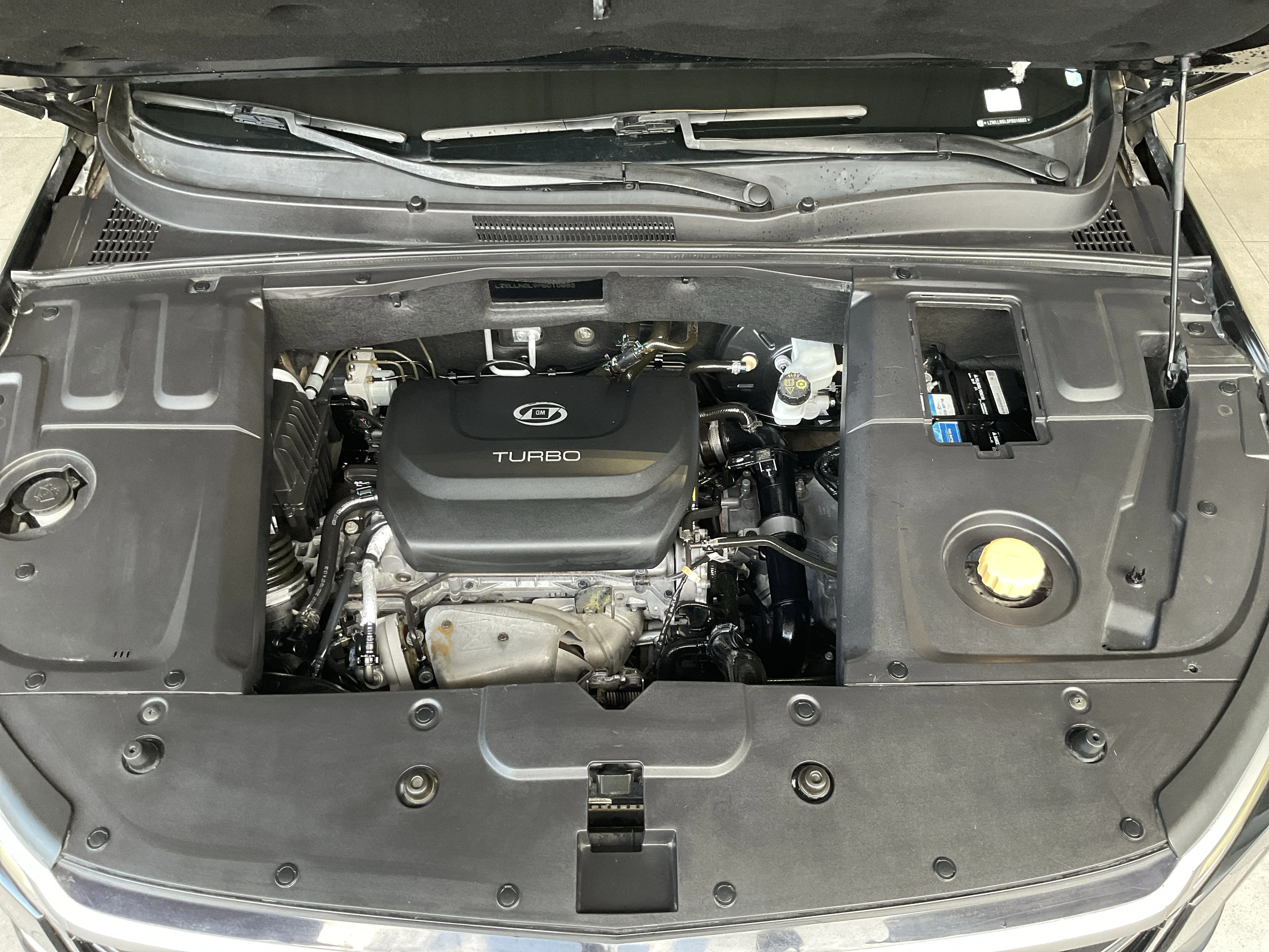 Interior 5