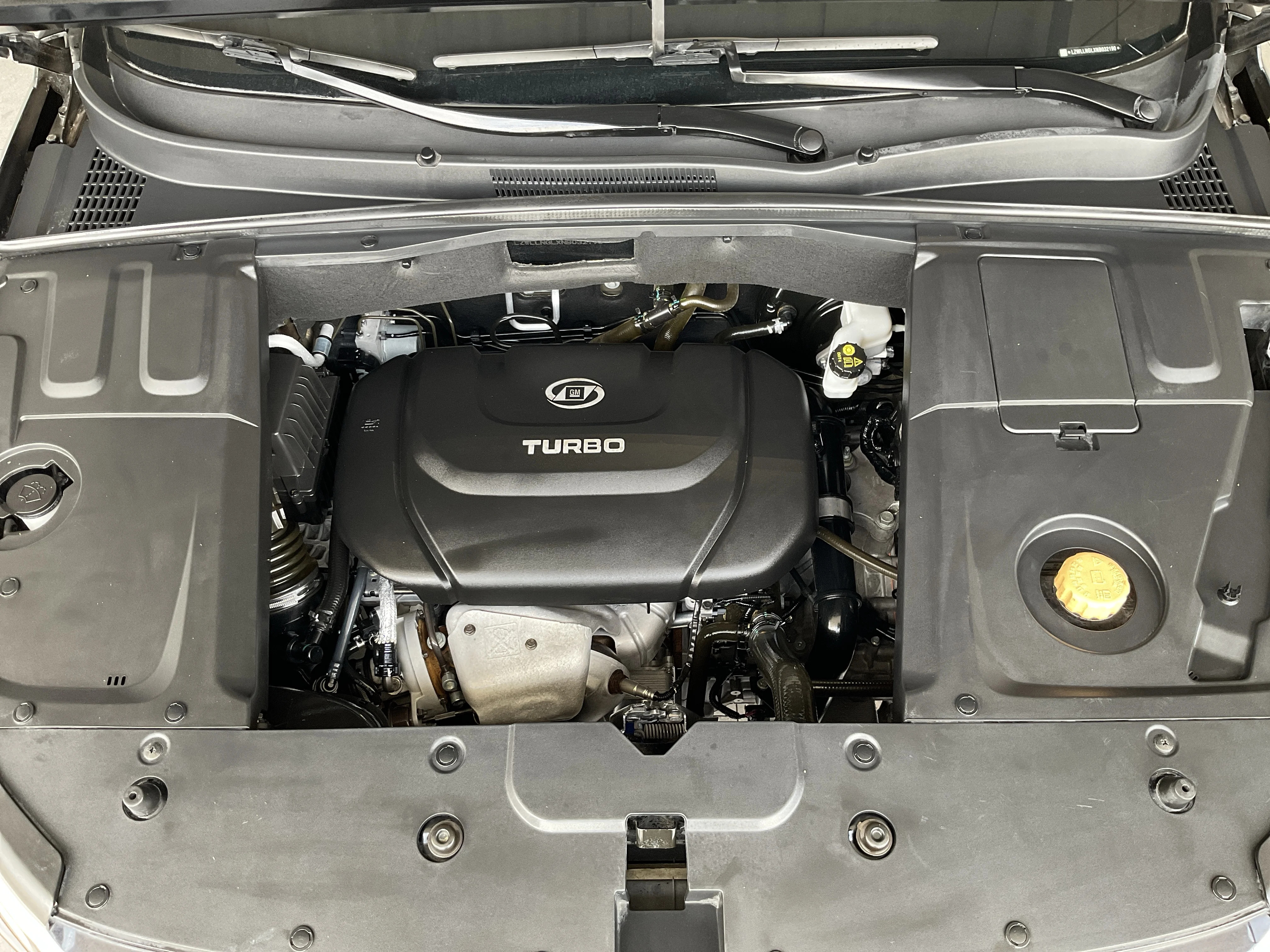 Interior 6